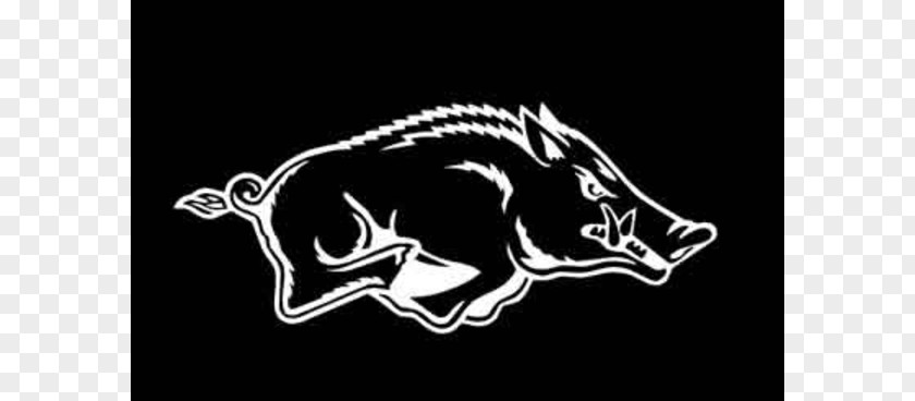 Razorback Cliparts University Of Arkansas Razorbacks Football War Memorial Stadium Southeastern Conference Feral Pig PNG