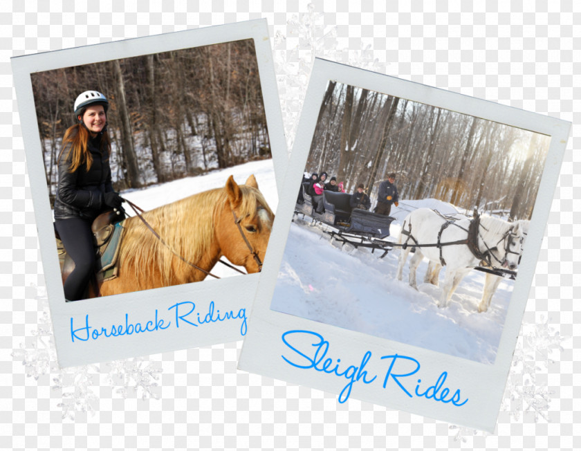 Snow Mountain Ranch Rocking Horse Winter Resort PNG