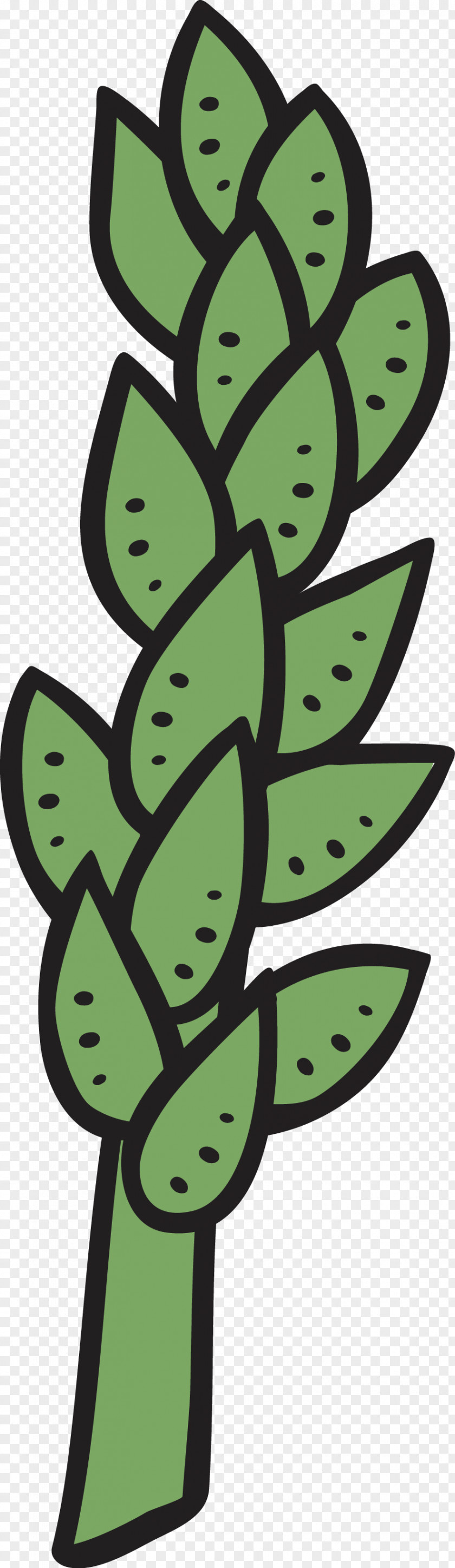 Tree Cactus Pilosocereus Leaf Succulent Plant Clip Art PNG