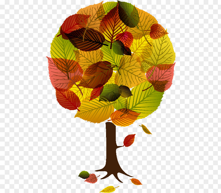 Autumn Tree Leaf Color PNG