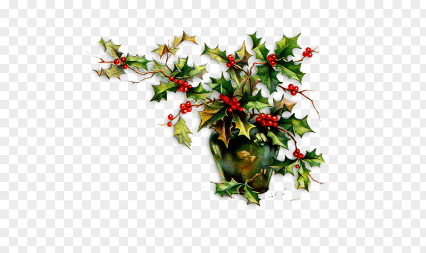 Christmas Common Holly Ornament Clip Art PNG