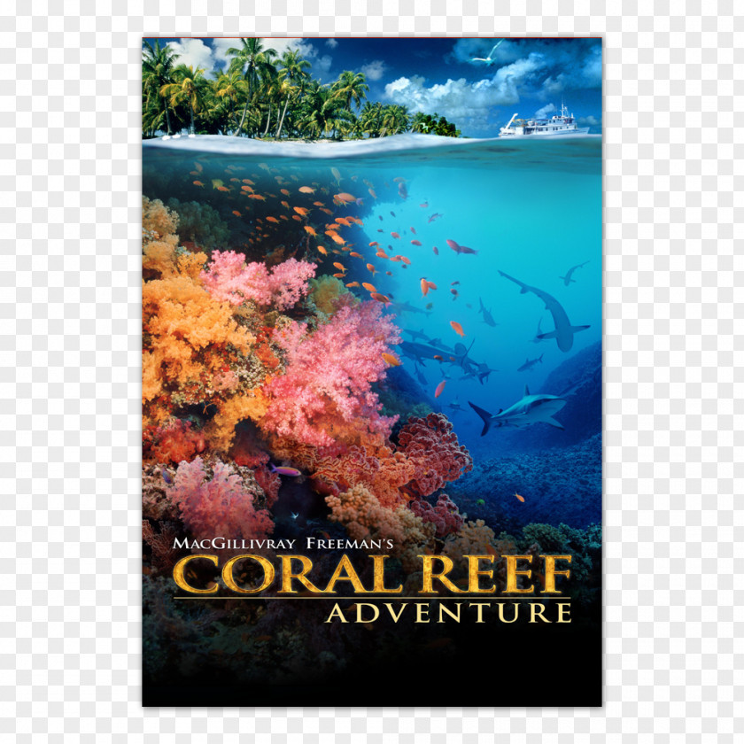 Coral Reef IMAX Documentary Film PNG