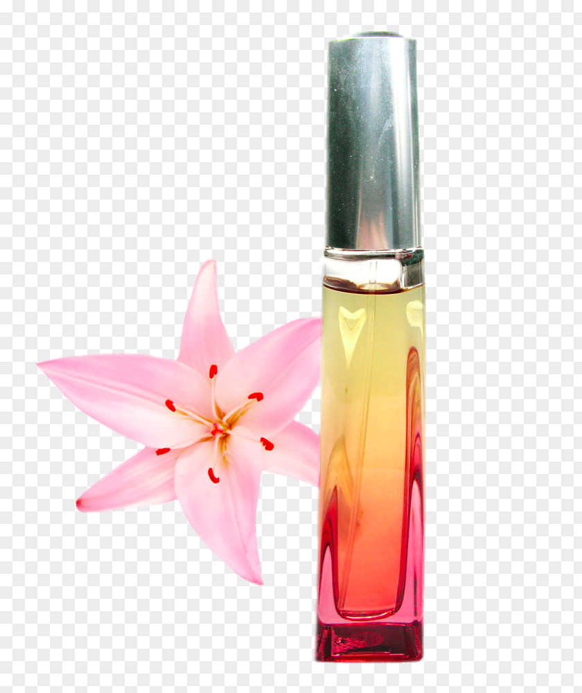 Peach Lipstick Perfume Cosmetics PNG