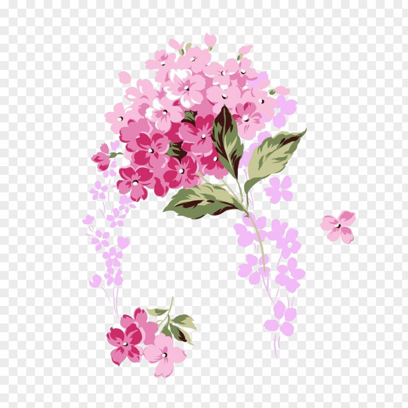 Pink Bouquet French Hydrangea Flower Clip Art PNG