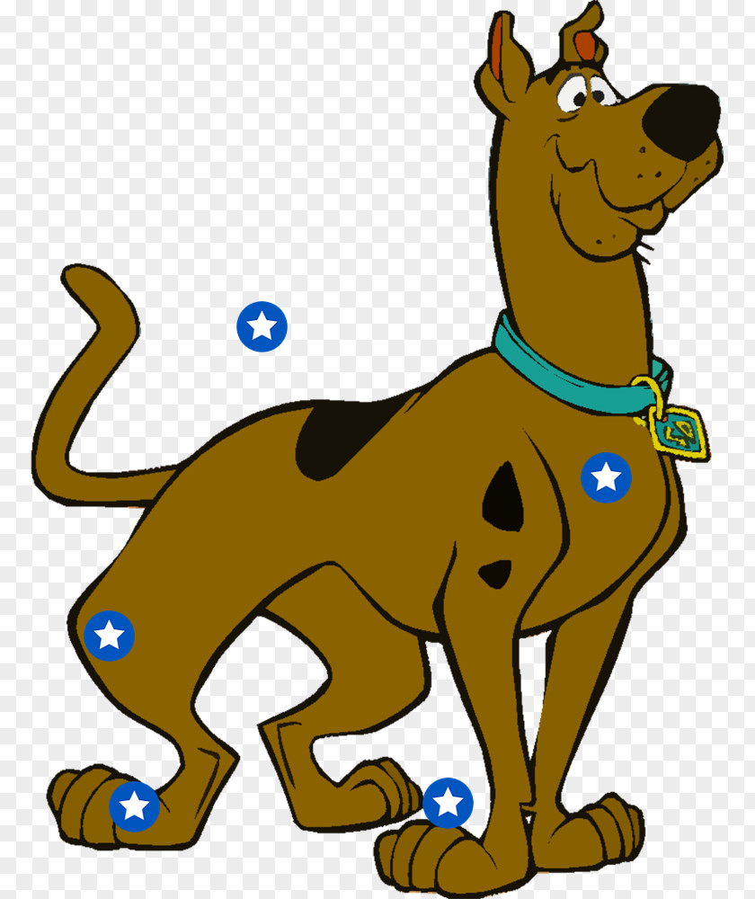 Scooby Doo Shaggy Rogers Scooby-Doo PNG