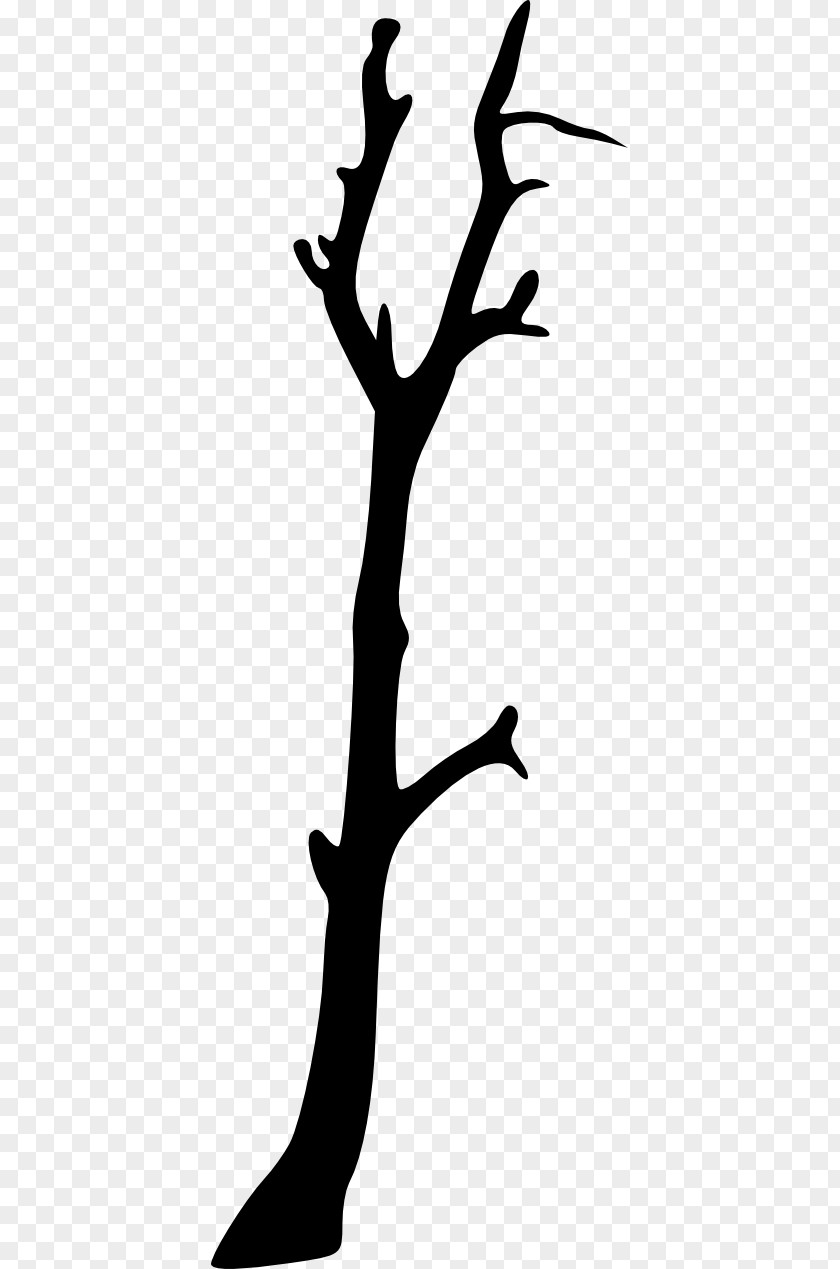 Wood Branches Clip Art Branch Silhouette Image PNG