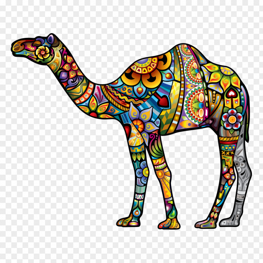 Camel Dromedary Tattoo Illustration PNG