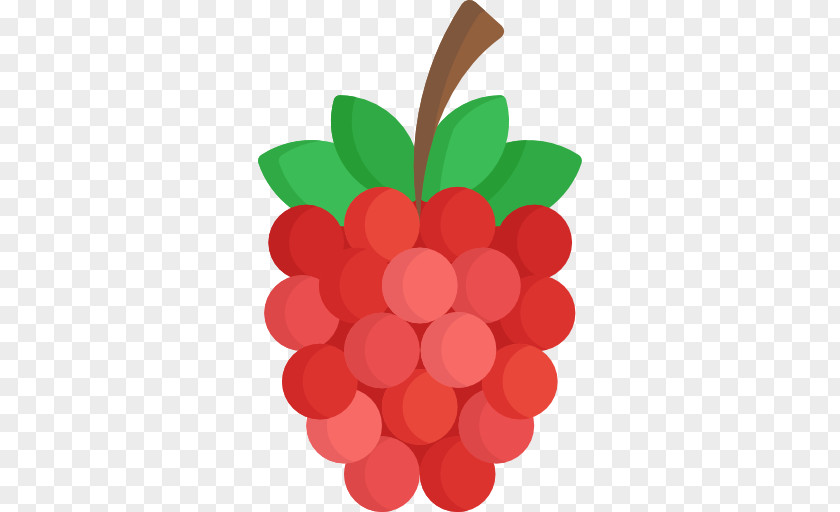 Grape PNG