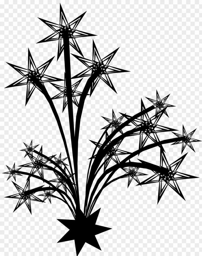 M Symmetry Pattern Plant Stem Twig Black & White PNG