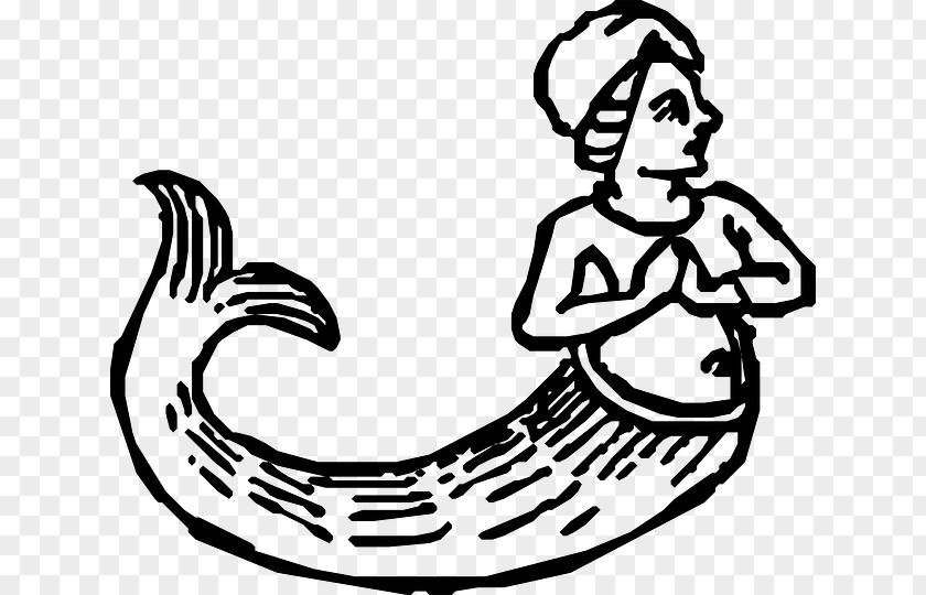 Mermaid Tail Outline Drawing Clip Art PNG