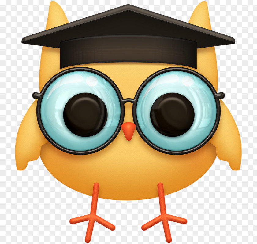 Owl Graduation Ceremony Education Clip Art PNG