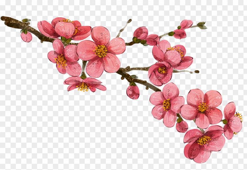 Plum Flower China Drawing Illustration PNG