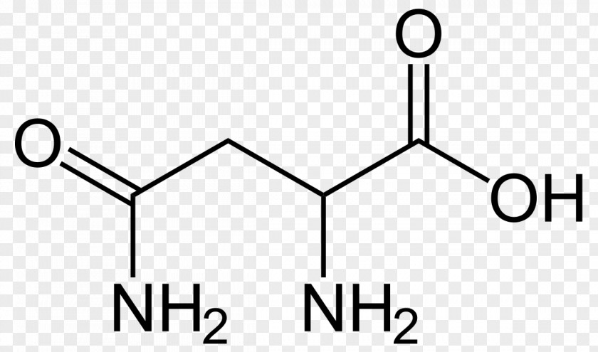 ÑˆÐ¸Ð½Ñ‹ Aspartic Acid Amino Dicarboxylic PNG