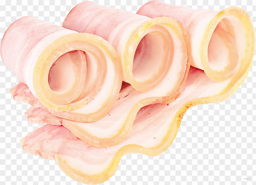 Bacon Ham Clip Art Pork PNG