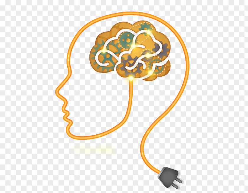Brain Human Neuroscience PNG