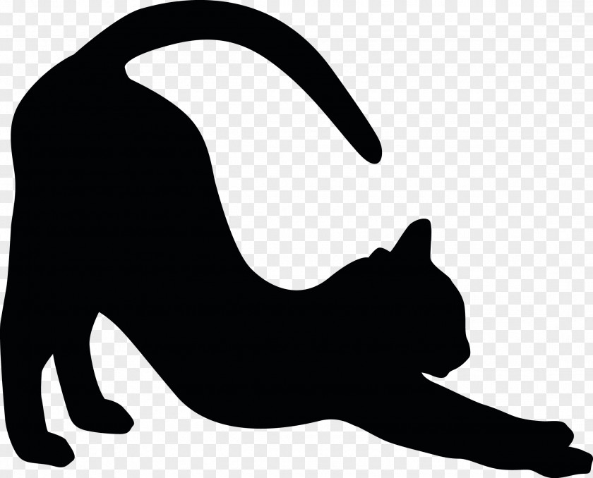 Cat Whiskers Bumper Sticker Adhesive PNG