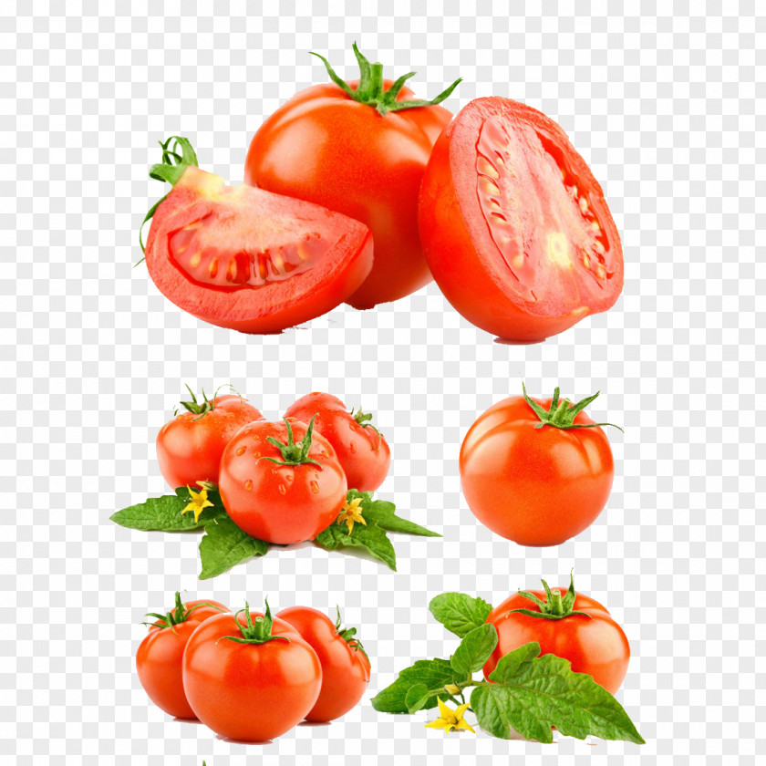 Cut Tomatoes Mexican Cuisine Tomato Vegetable Food Fruit PNG