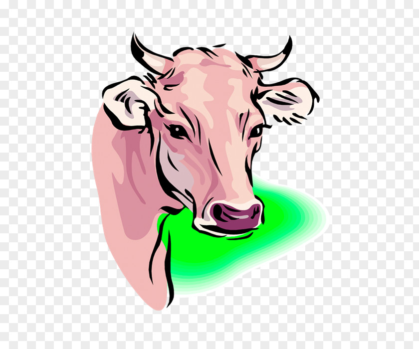 Ooh Dairy Cattle Taurine Bull Ox Clip Art PNG