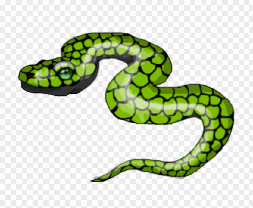 Snake Vipers Kingsnakes White Drawing PNG