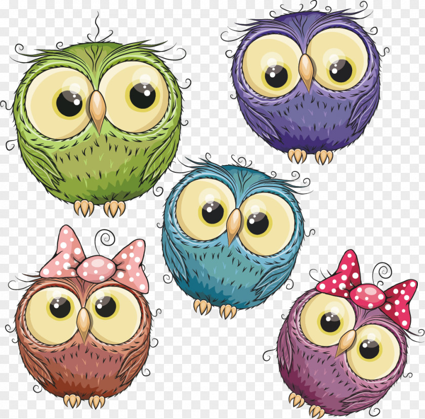 Decking Owl Bird Cartoon Image Animation PNG