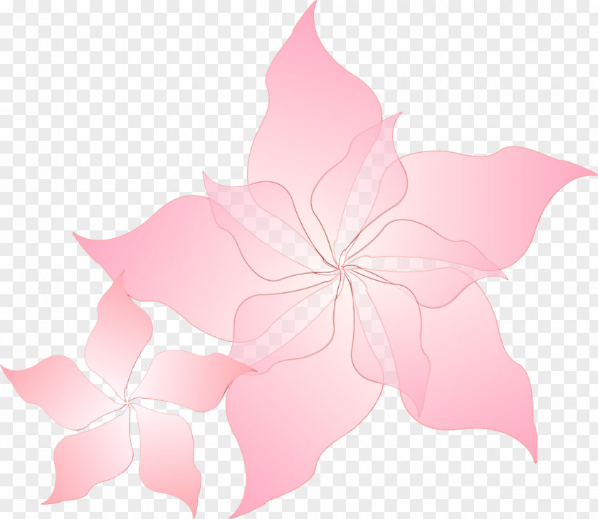 Flowering Plant Hibiscus Pink Petal Hawaiian Flower Leaf PNG