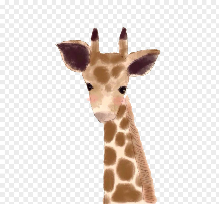 Gray Giraffe Ximending Northern Taobao Illustration PNG