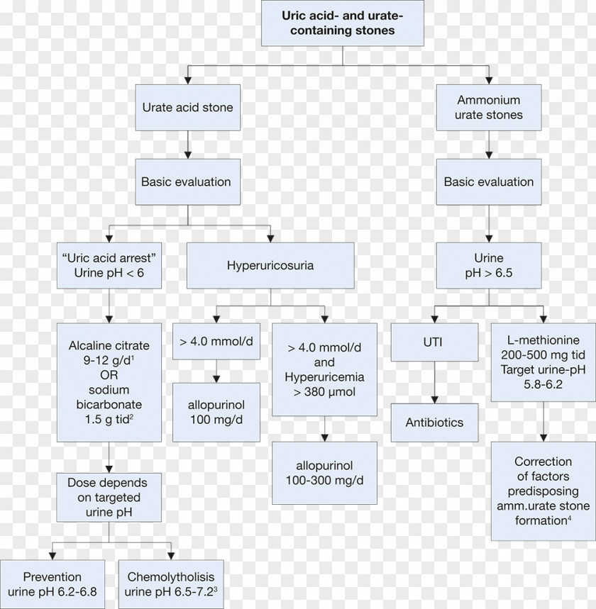 Line Document Organization Angle PNG