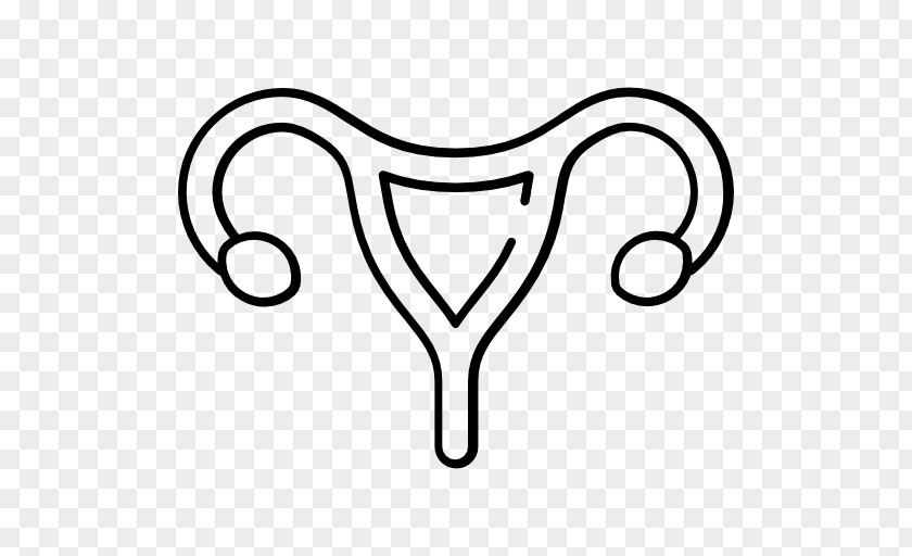 Ovary Clip Art PNG