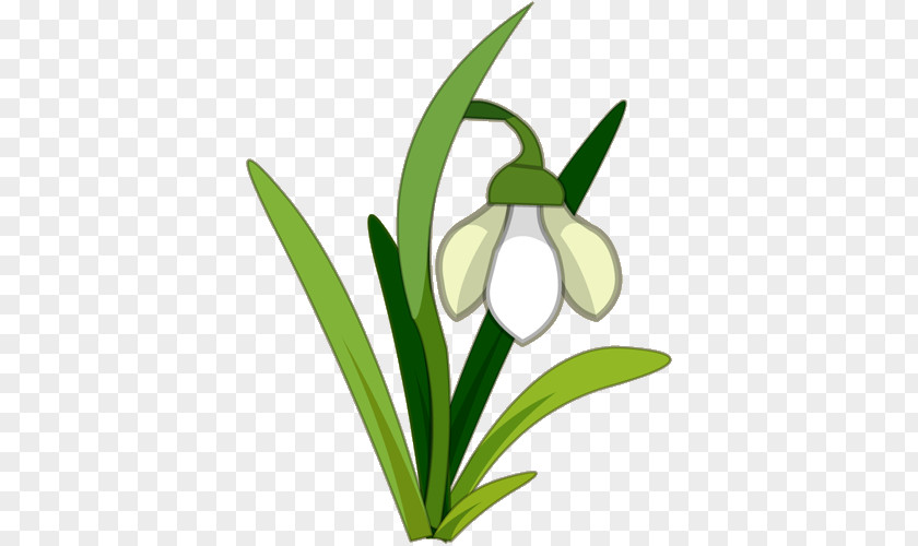 Snowdrop Tattoo Flower Royalty-free Clip Art PNG