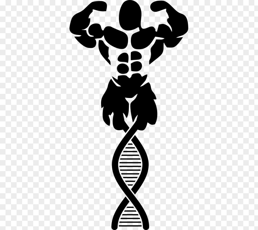 Symbol For Strength Physical Bodybuilding Weight Training Exercise Clip Art PNG