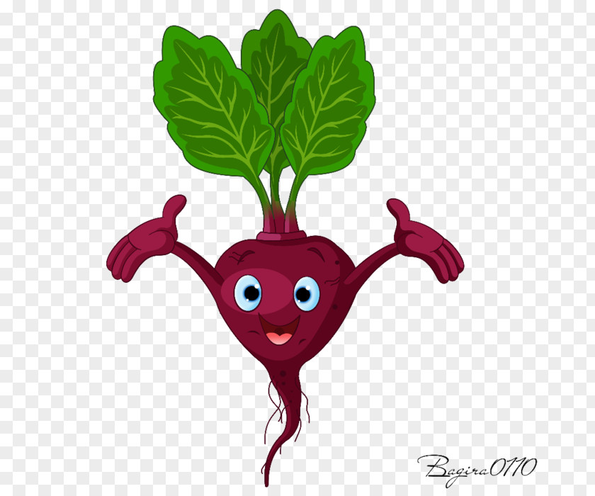 Vegetable Beetroot Radish Clip Art PNG