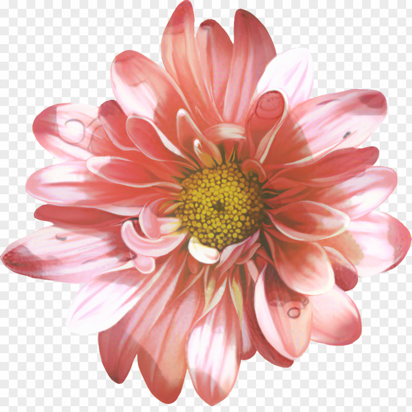 Wildflower Floral Design Flowers Background PNG