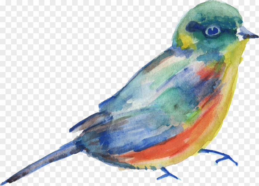 Birds Bird Parrot Transparent Watercolor Painting Parakeet PNG