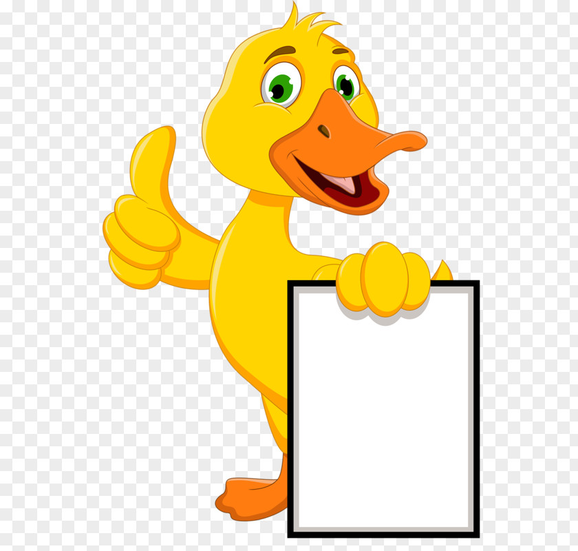 Duck Vector Graphics Royalty-free Clip Art Image PNG