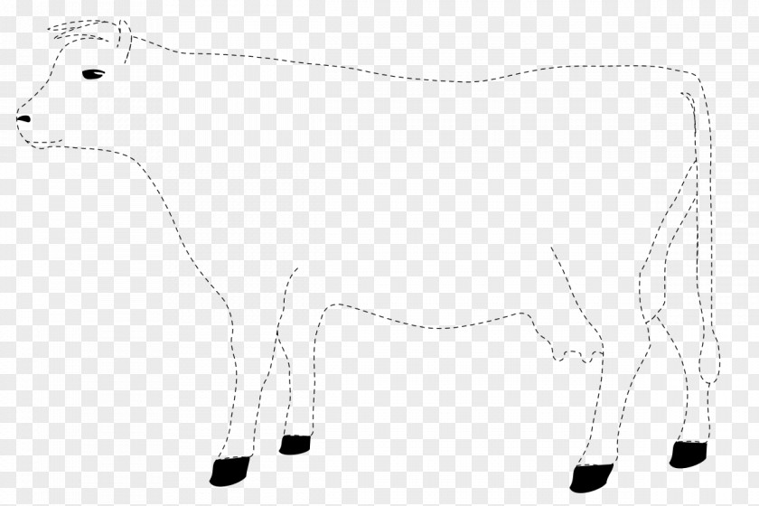 Silhouette Cattle Drawing Calf Line Art PNG
