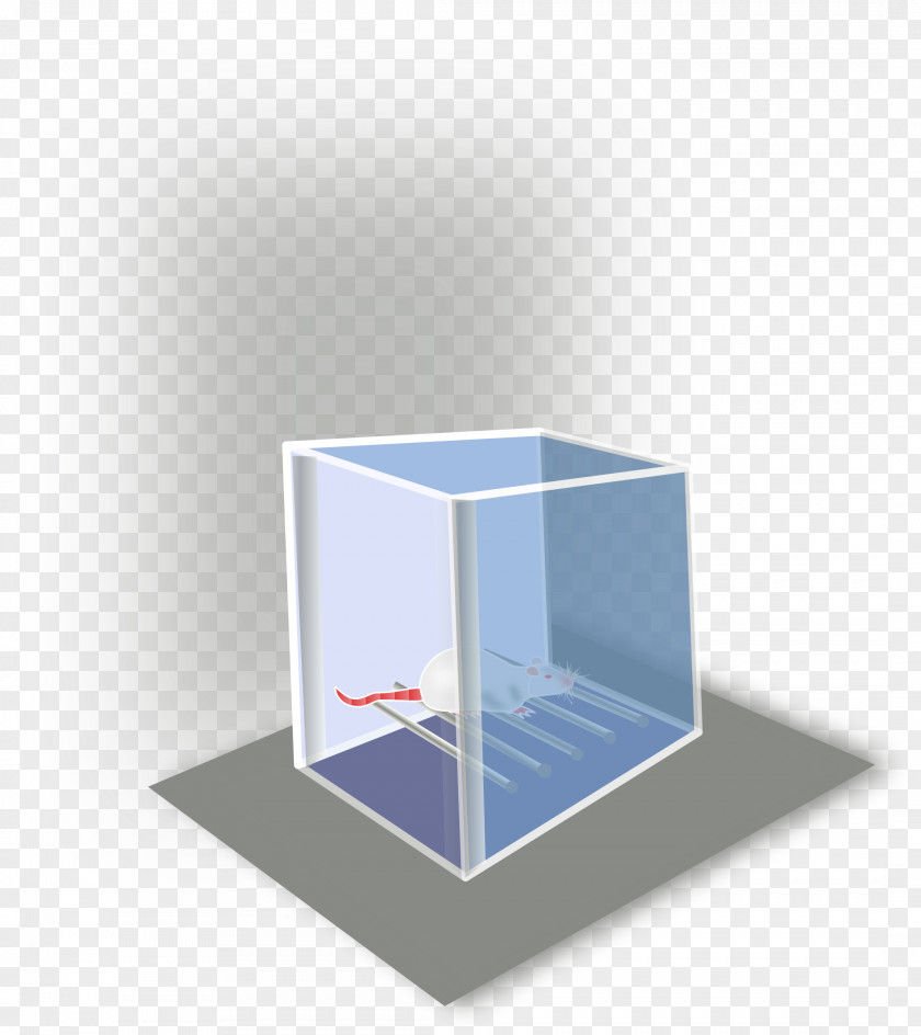 Box Clip Art PNG