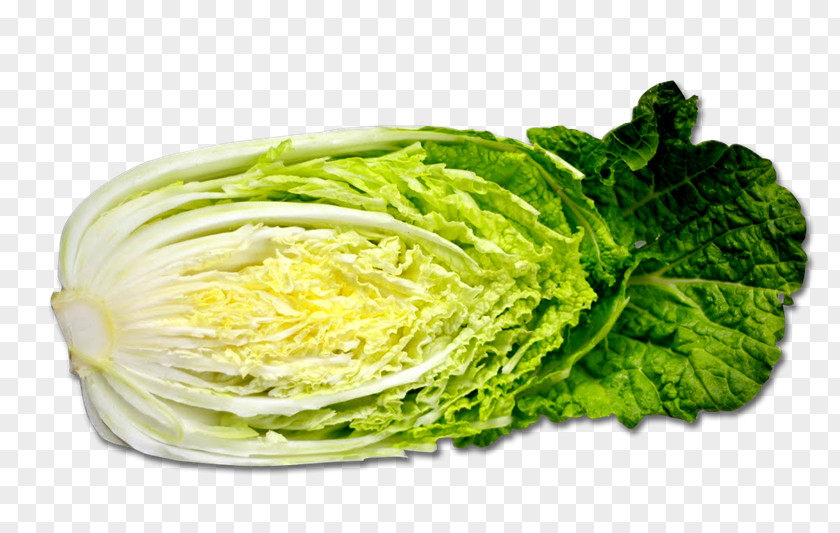Cabbage Chinese Cuisine Savoy Red Napa PNG
