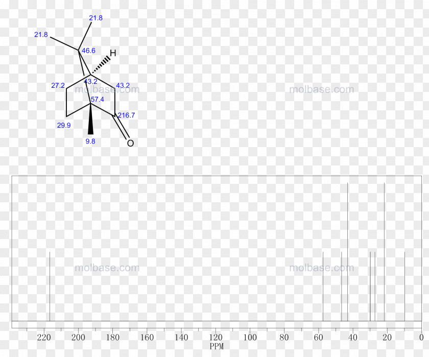 Camphor Pictogram Document Angle Line Product Design PNG