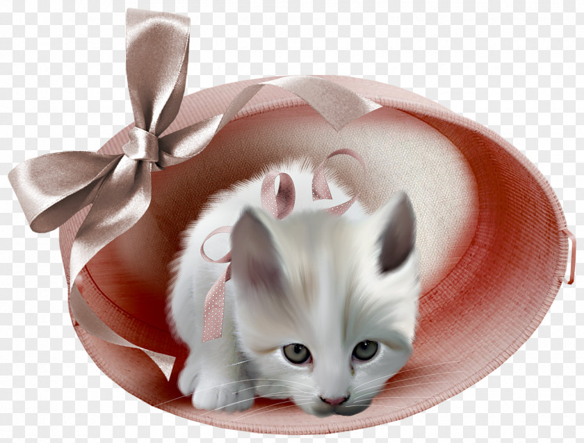 Cats Pink Cat Animation Blingee PNG