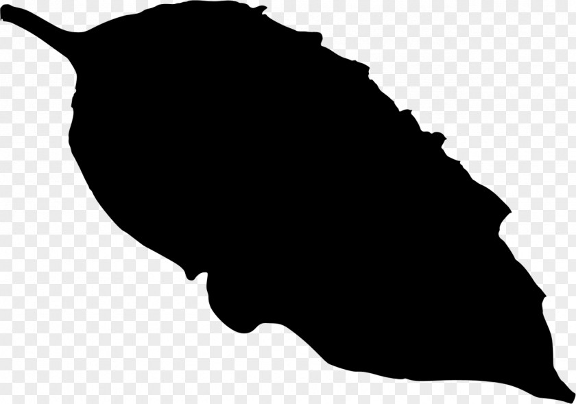 Clip Art Leaf Silhouette Black M PNG