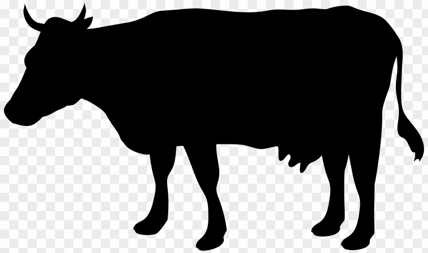 Cow Silhouette Clip Art Image Cattle Illustration PNG