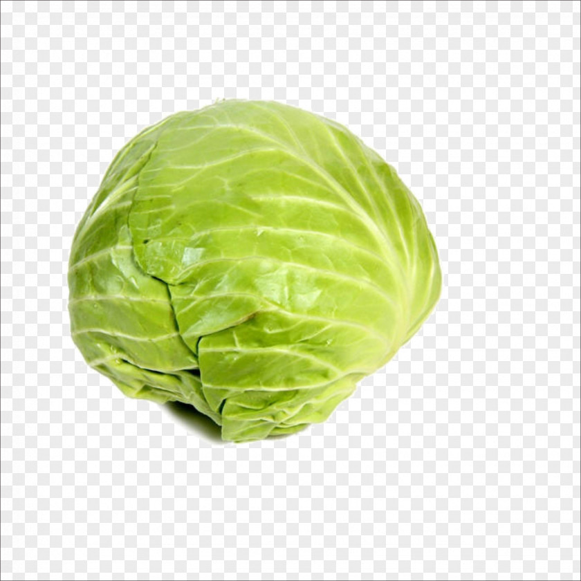 Fresh Cabbage Leaf Vegetable Food PNG
