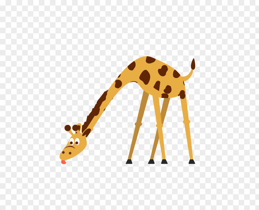 Giraffe Northern Cartoon Clip Art PNG