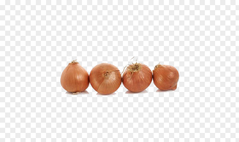 Onion Free Buckle Image Red Download Google Images PNG