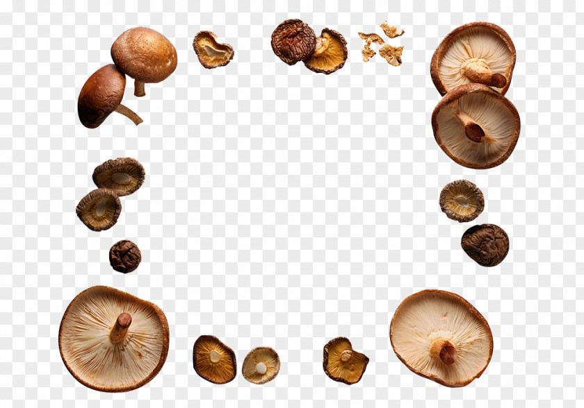 Shiitake Mushrooms Ring Circle The Worlds Healthiest Foods Mushroom Picture Frame PNG