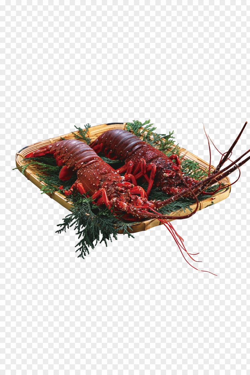 Super Delicious Lobster Xuyi County Chinese Cuisine Seafood PNG