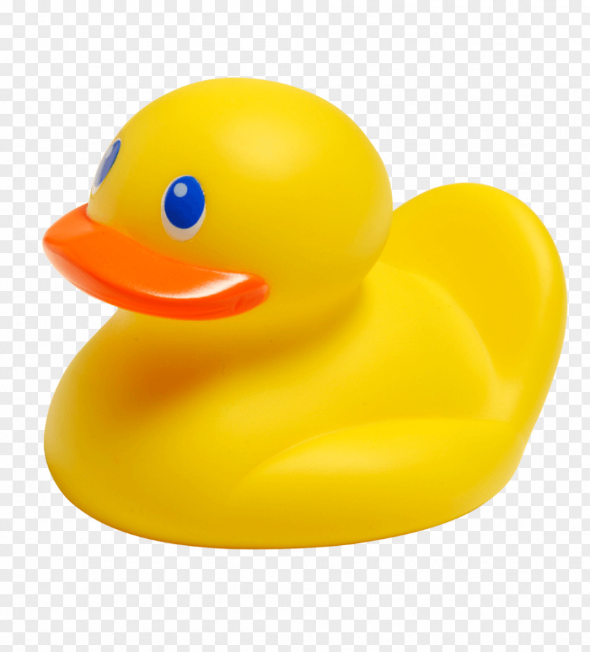 1st Rubber Duck Safety Bathtub Infant PNG