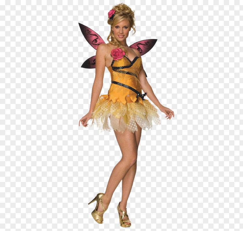 Fairy Insect Costume PNG