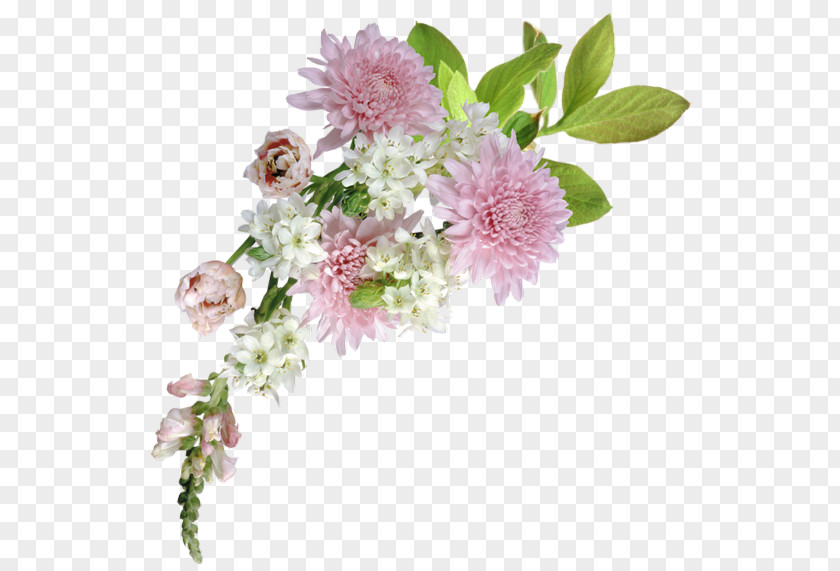 Flower Floral Design Alphabet Cut Flowers Paper PNG