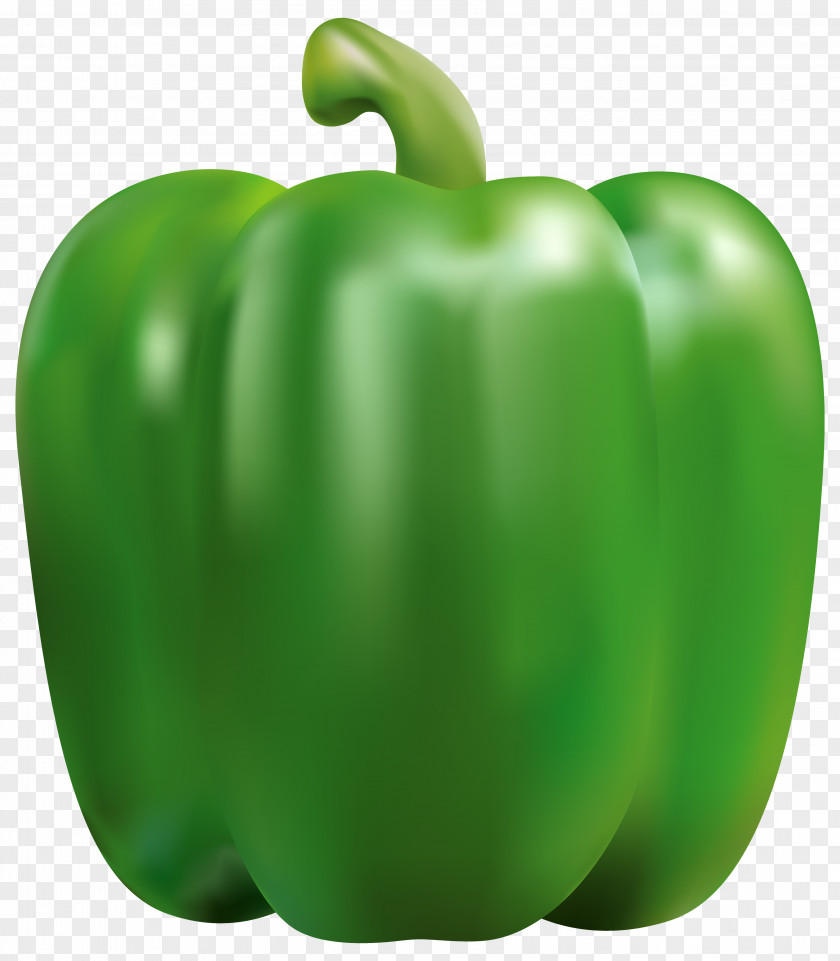 Green Pepper Clipart Image Bell Chili Vegetable Clip Art PNG